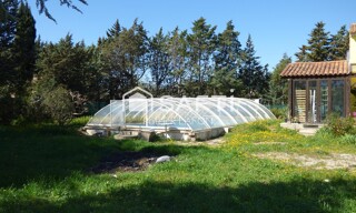 Photo N° 3