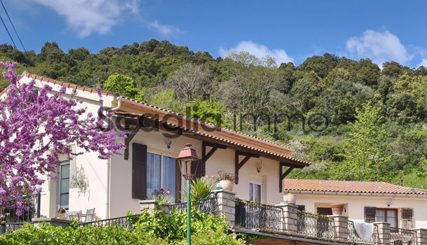 Villa / Maison 5 pièces  à vendre Pietrosella 20166