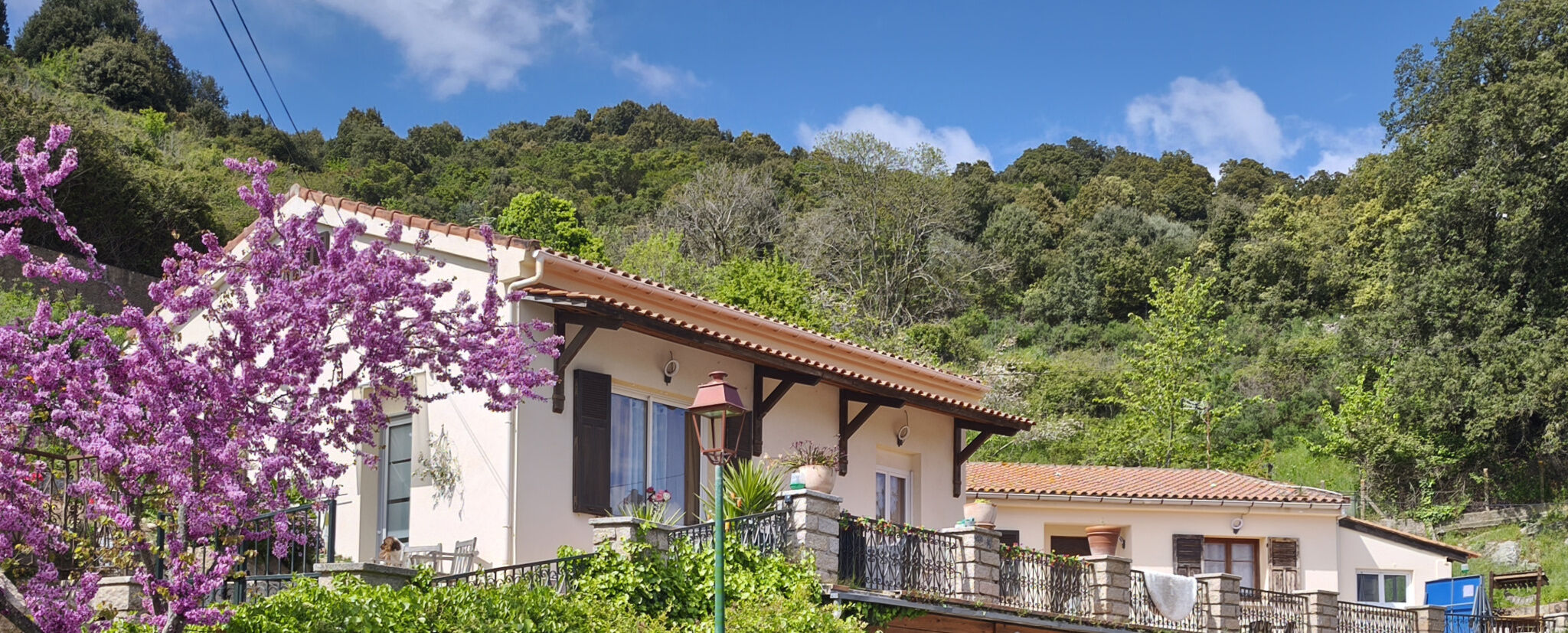 Villa / Maison  T8 à vendre Pietrosella 20166