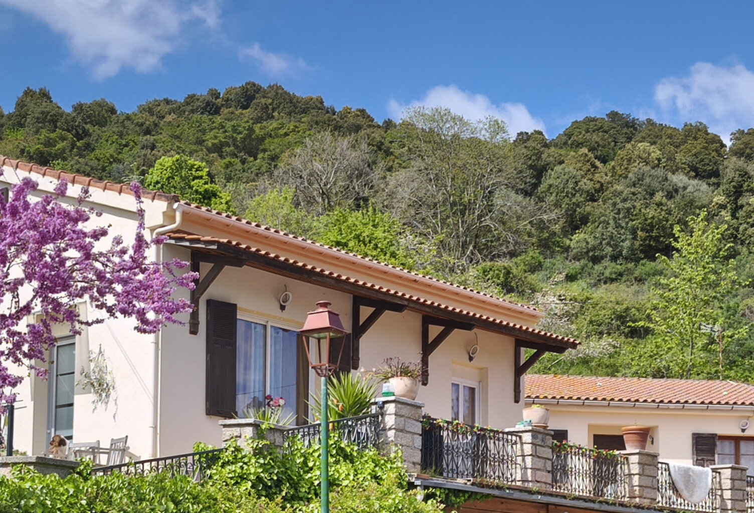 Maison  T3 + DEPENDANCES  - SPA  -  EXCLUSIVITE — photo 1