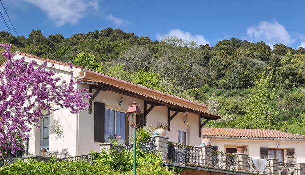 Villa / Maison 8 pièces  à vendre Pietrosella 20166