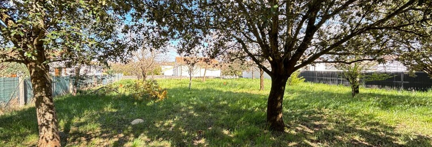 Commerce  502 m² à vendre à Saint-Palais-sur-Mer (17420)