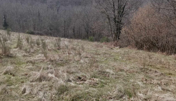 Villa / Maison 9 pièces  à vendre Saint-Laurent-de-Cerdans 66260