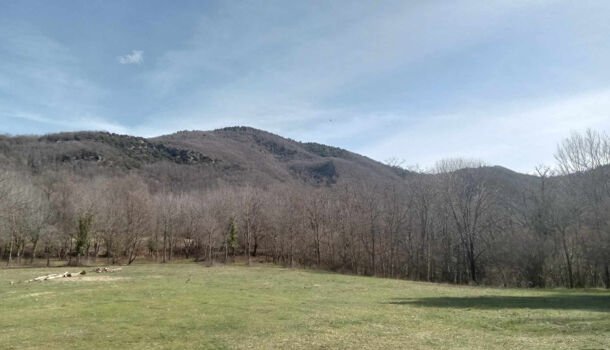 Villa / Maison 9 pièces  à vendre Saint-Laurent-de-Cerdans 66260