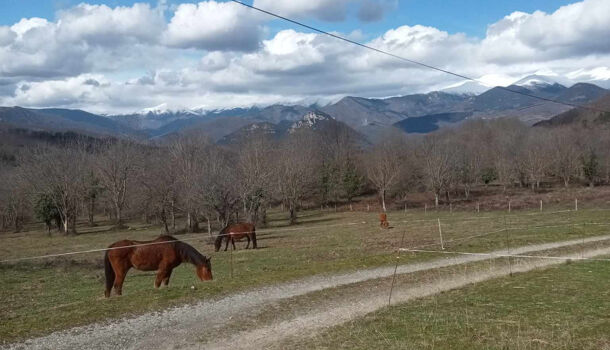 Villa / Maison 9 pièces  à vendre Saint-Laurent-de-Cerdans 66260