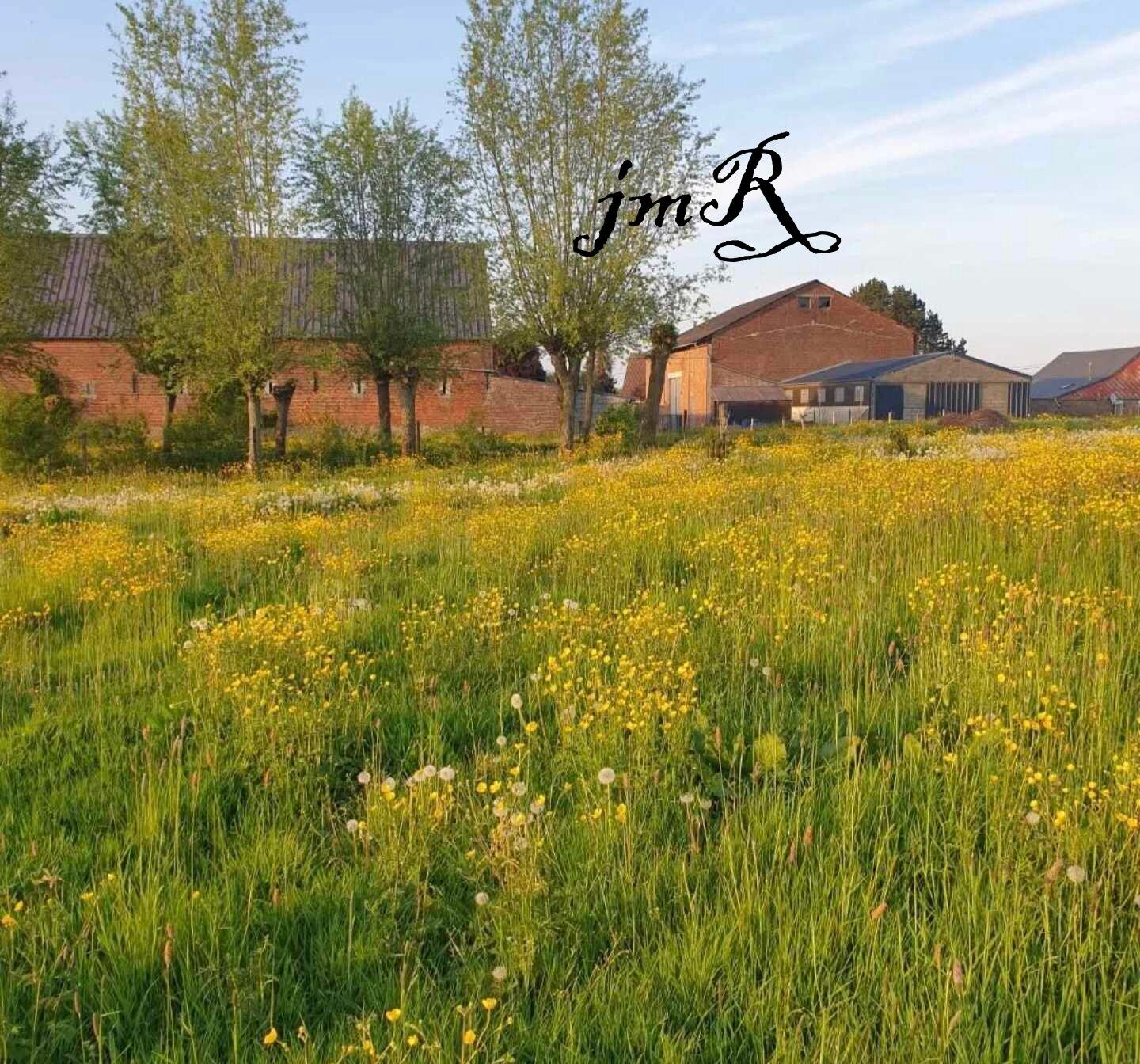 Vente Maison 180 m² à Cartignies 393 500 ¤