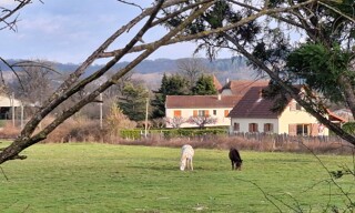 Photo N° 14