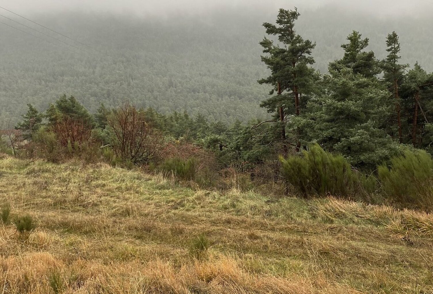 Terrain de loisir — photo 1