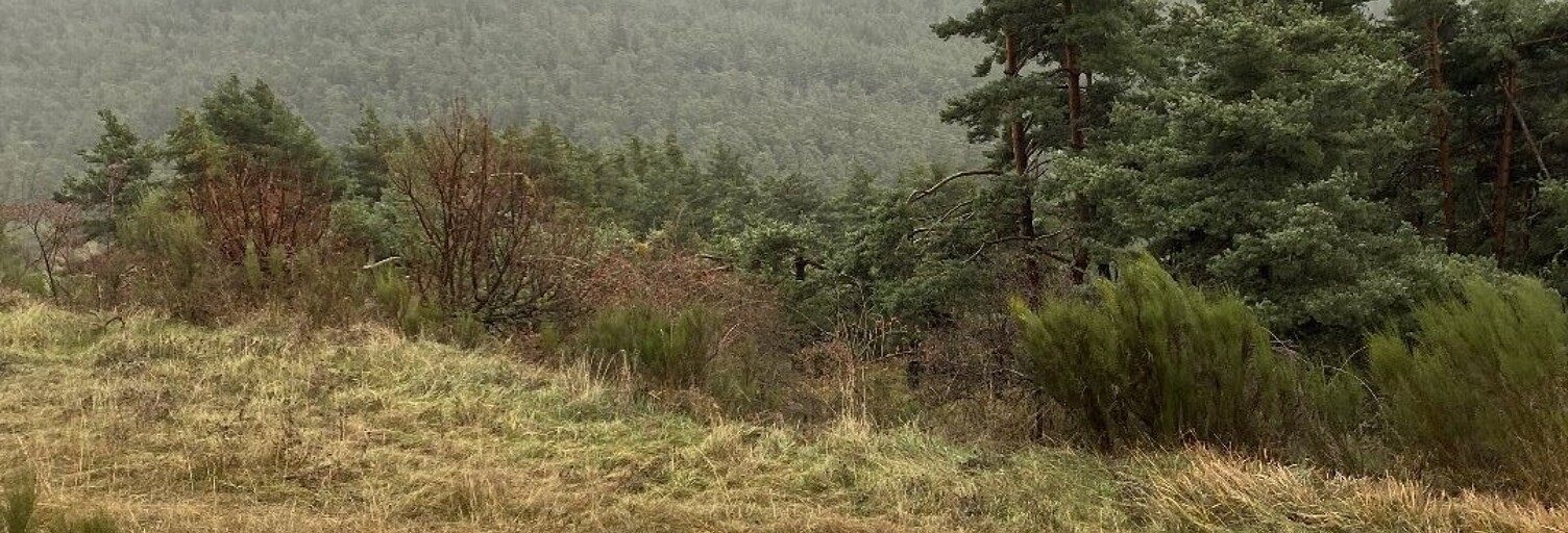 Terrain  3200 m² à vendre à Séranon (06750)