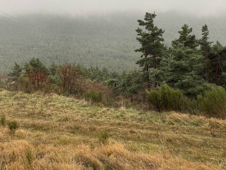 Terrain de loisir — photo 1