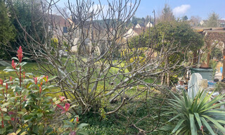 Photo N° 6