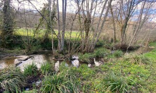 Photo N° 4
