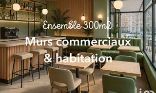 Commerce  300 m² à vendre à Mormant (77720)