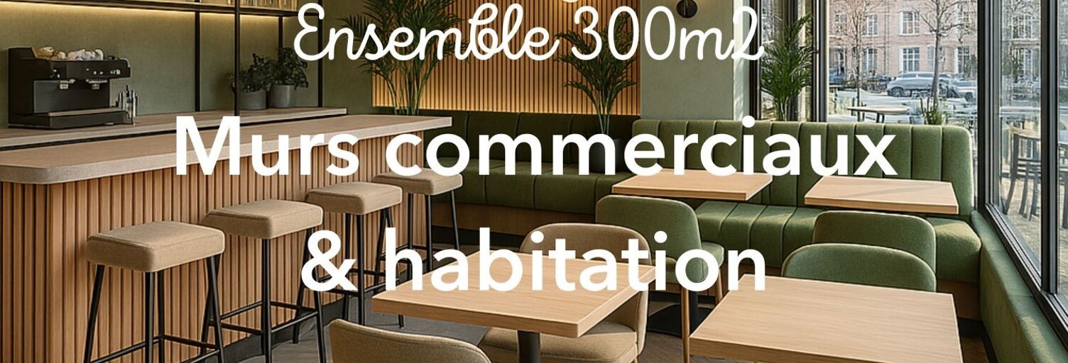 Commerce  300 m² à vendre à Mormant (77720)