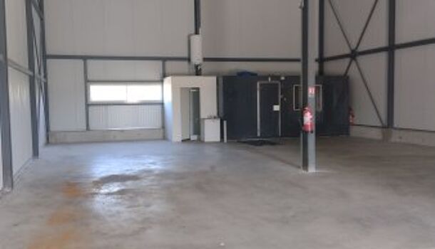 Local commercial  à louer Perpignan 66000