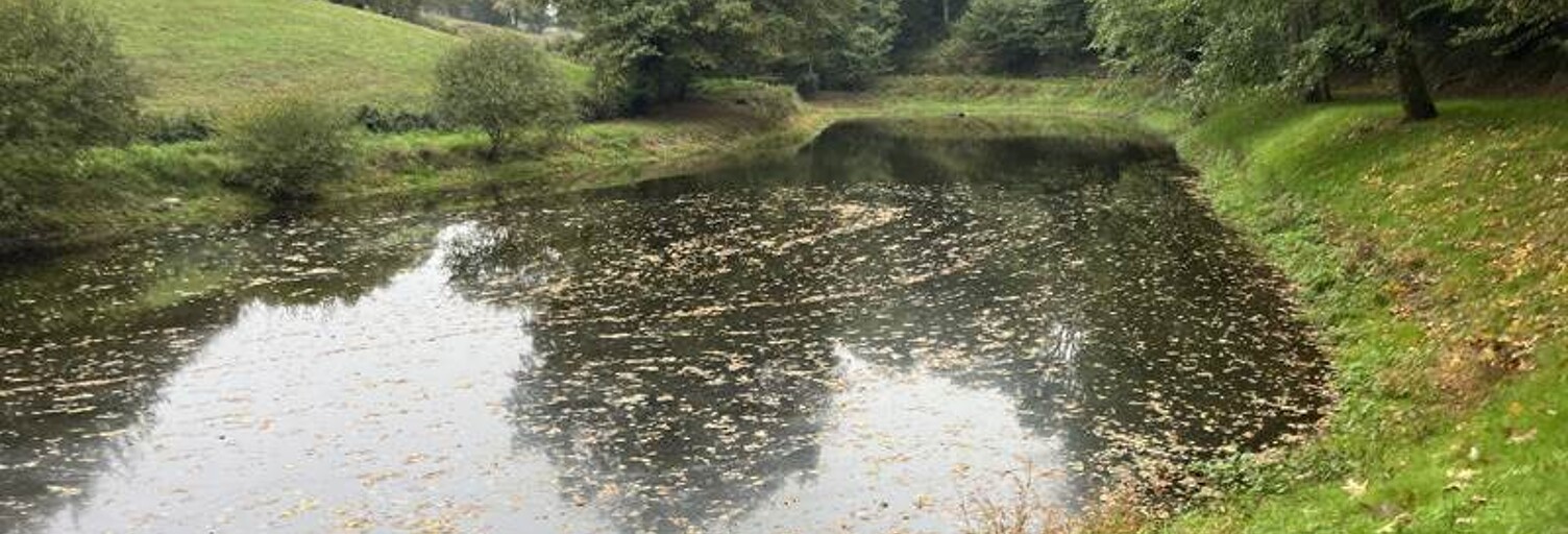 Terrain  5735 m² à vendre à Saint-Priest-la-Marche (18370)