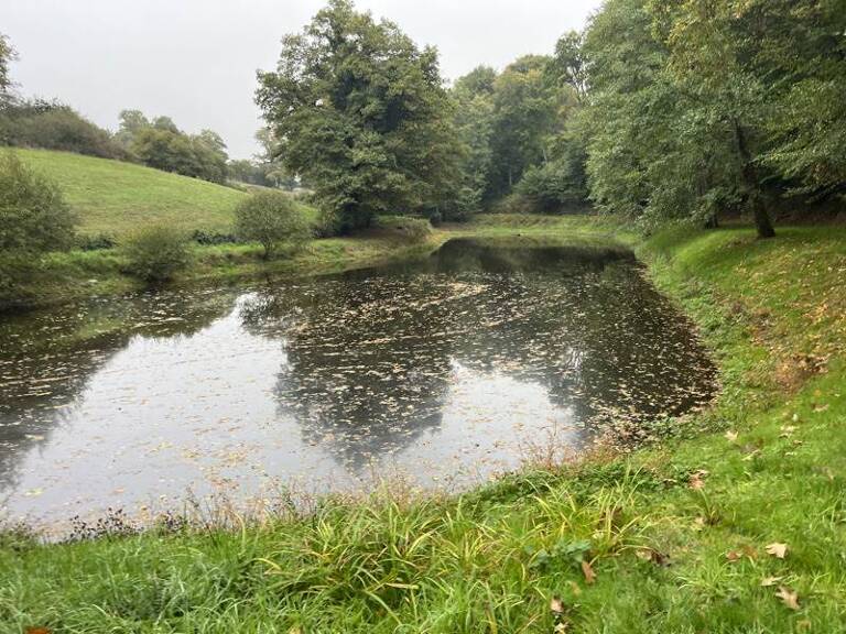 Etang de 0 pièces principales — photo 1