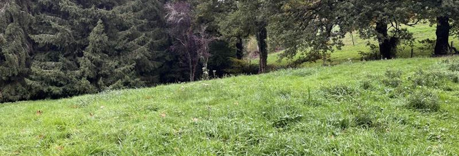 Terrain  5735 m² à vendre à Saint-Priest-la-Marche (18370)