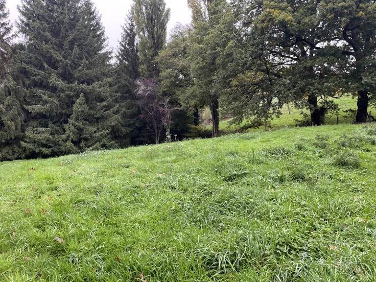 Etang de 0 pièces principales — photo 1