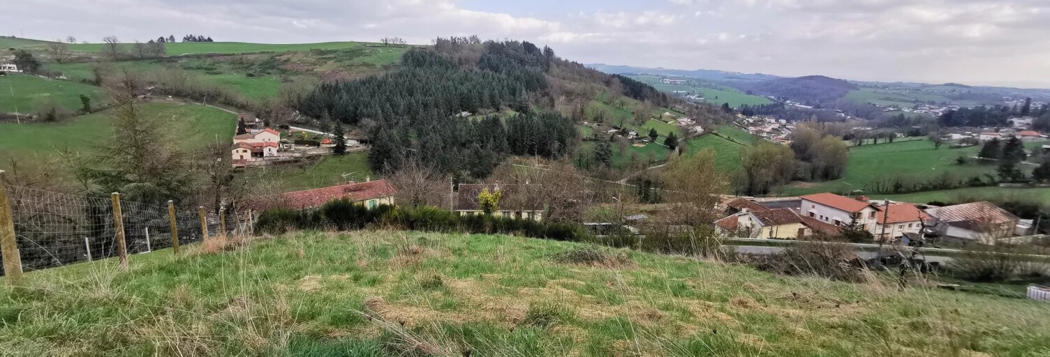 Terrain  1000 m² à vendre à Saint-Galmier (42330)