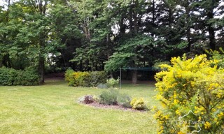 Photo N° 6