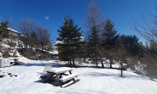 Photo N° 3