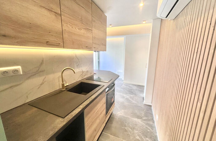 CANNES BASSE CALIFORNIE APPARTEMENT 21M2 REFAIT A NEUF PROCH — photo 4