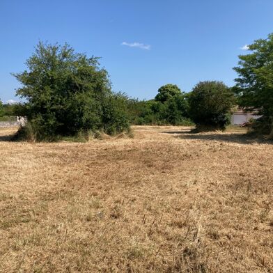 Terrain  81000 €