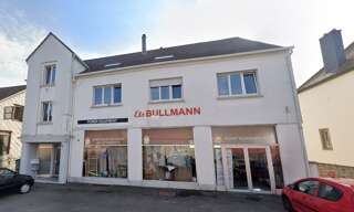 Maison 17 Pièces 289 m² à vendre à Diemeringen (67430)