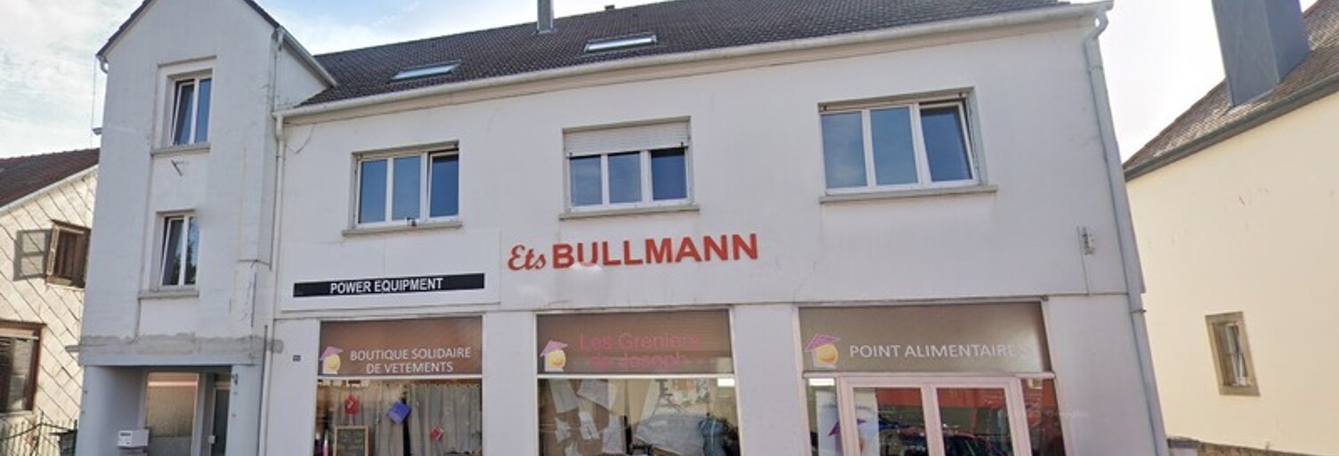 Maison 17 Pièces 289 m² à vendre à Diemeringen (67430)