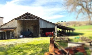 Photo N° 5
