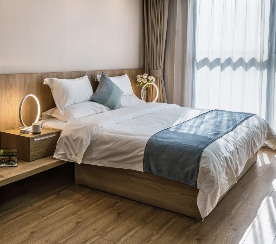 Appartement  T3 à vendre Toulouse 31200