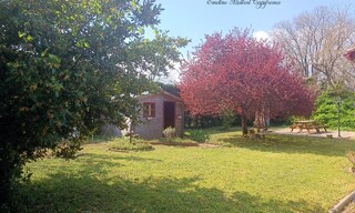 Photo N° 4