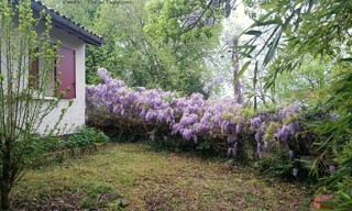 Photo N° 5