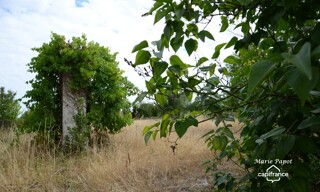 Photo N° 3