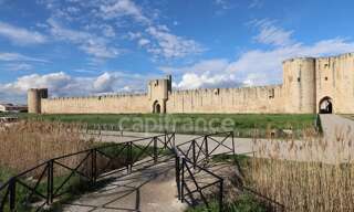 Commerce 30 Pièces 1200 m² à vendre à Aigues-Mortes (30220)