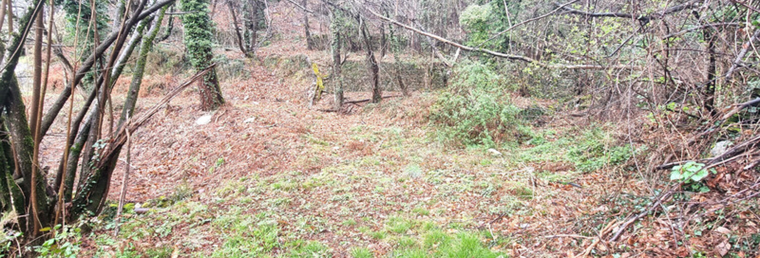 Terrain  9403 m² à vendre à Le Collet-de-Dèze (48160)