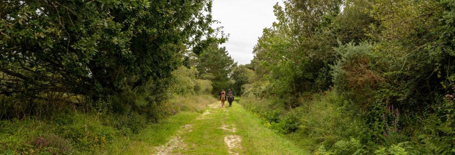 Maison  5700 m² à vendre à Landunvez (29840)