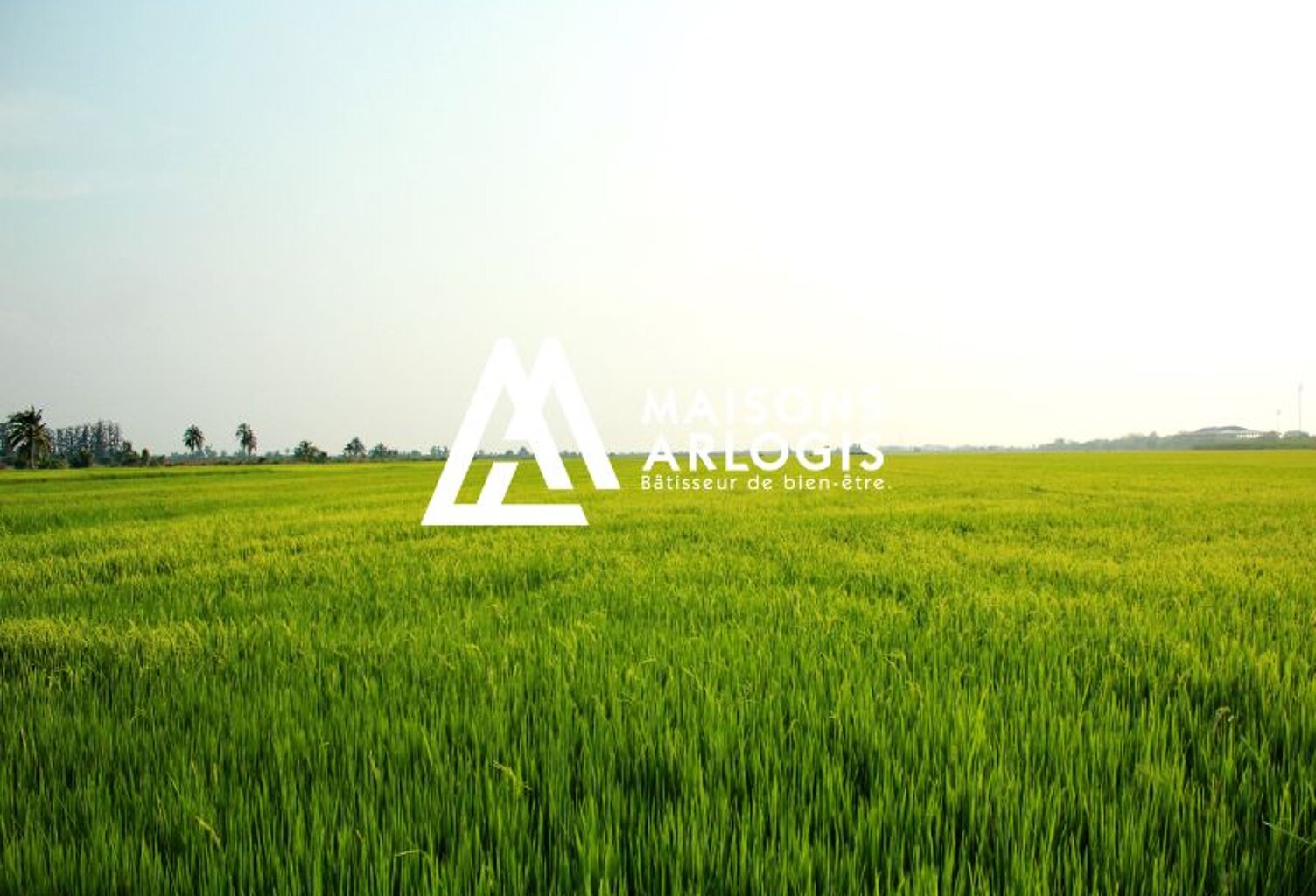 Terrain à Curgies (59990) : 76,900 € pour 436 m² en campagne ... — photo 1