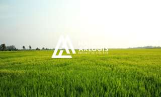 Terrain  436 m² à vendre à Curgies (59990)