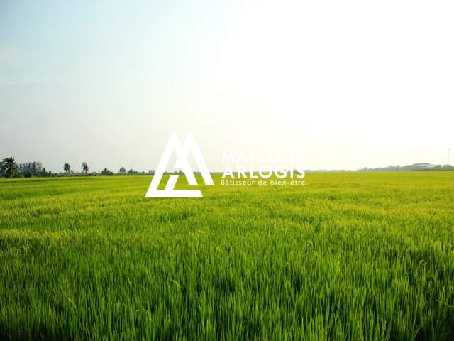 Terrain à Curgies (59990) : 76,900 € pour 436 m² en campagne ... — photo du bien