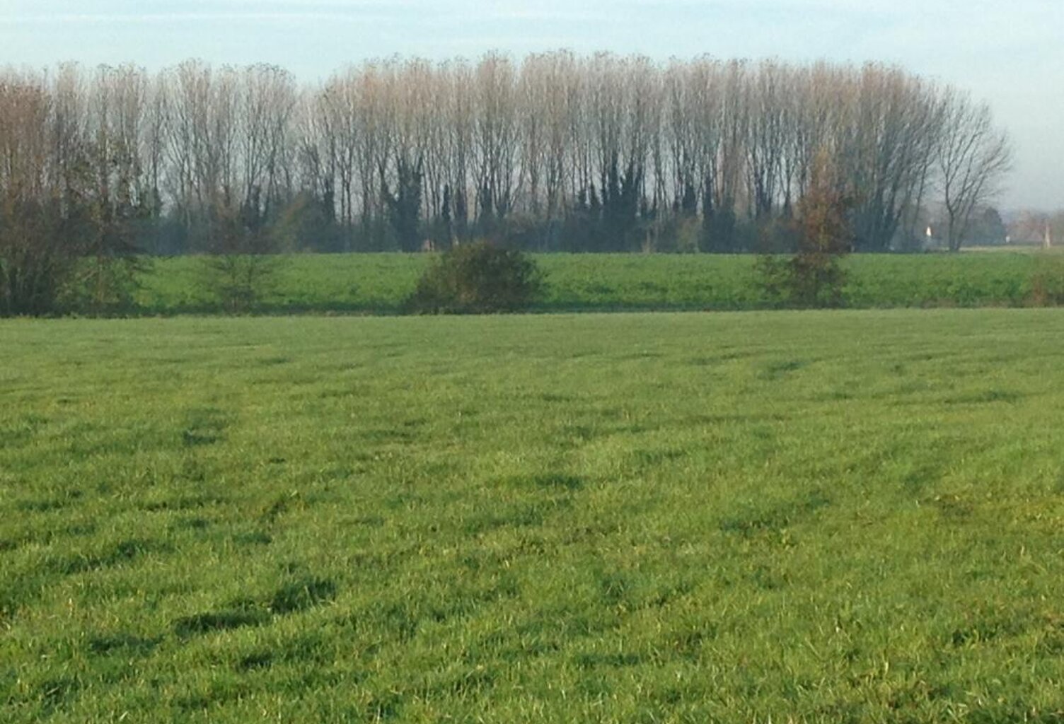 Terrain de 4231 m² à Escaudœuvres – Prix total : 99 800 € + M... — photo 1