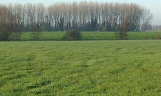 Terrain  4231 m² à vendre à Escaudœuvres (59161)