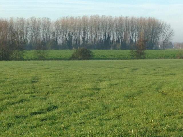 Terrain de 4231 m² à Escaudœuvres – Prix total : 99 800 € + M... — photo du bien