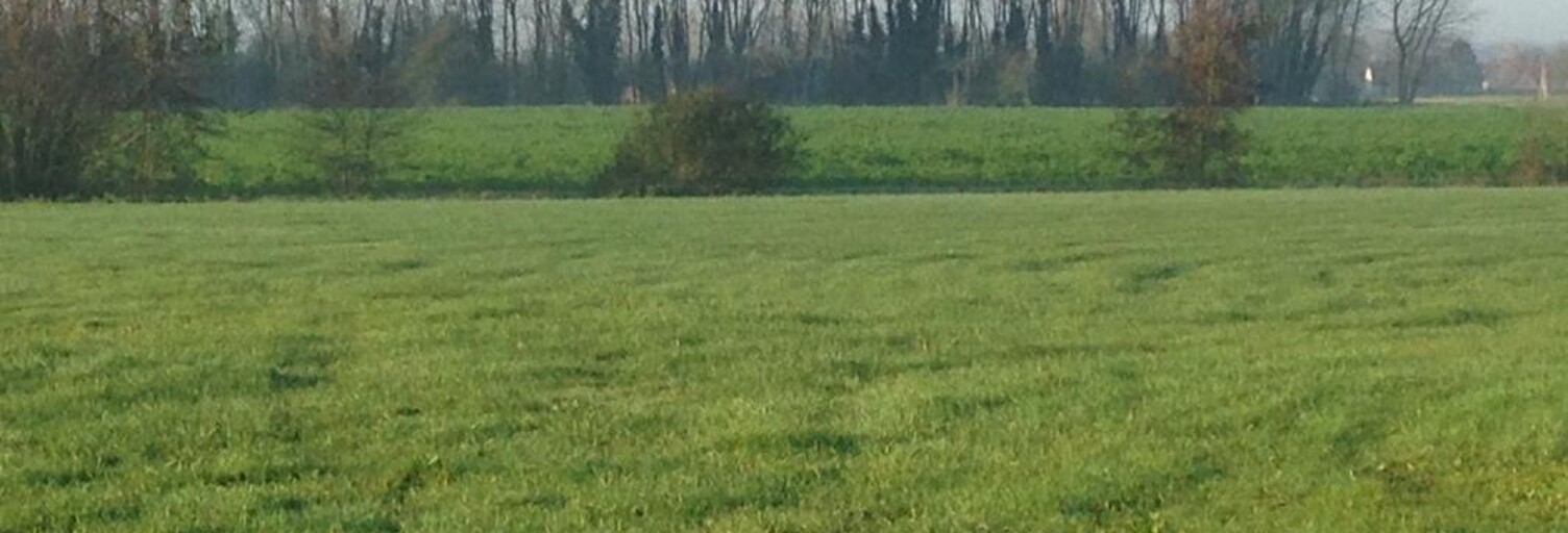 Terrain  4231 m² à vendre à Escaudœuvres (59161)