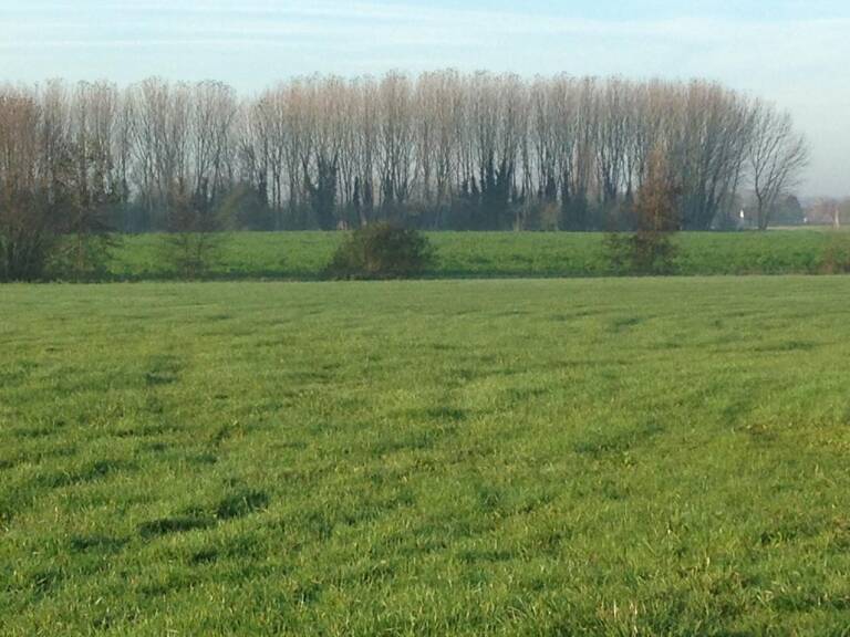Terrain de 4231 m² à Escaudœuvres – Prix total : 99 800 € + M... — photo 1