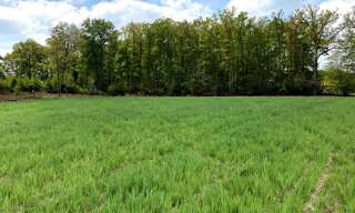 Terrain  400 m² à vendre à Wandignies-Hamage (59870)
