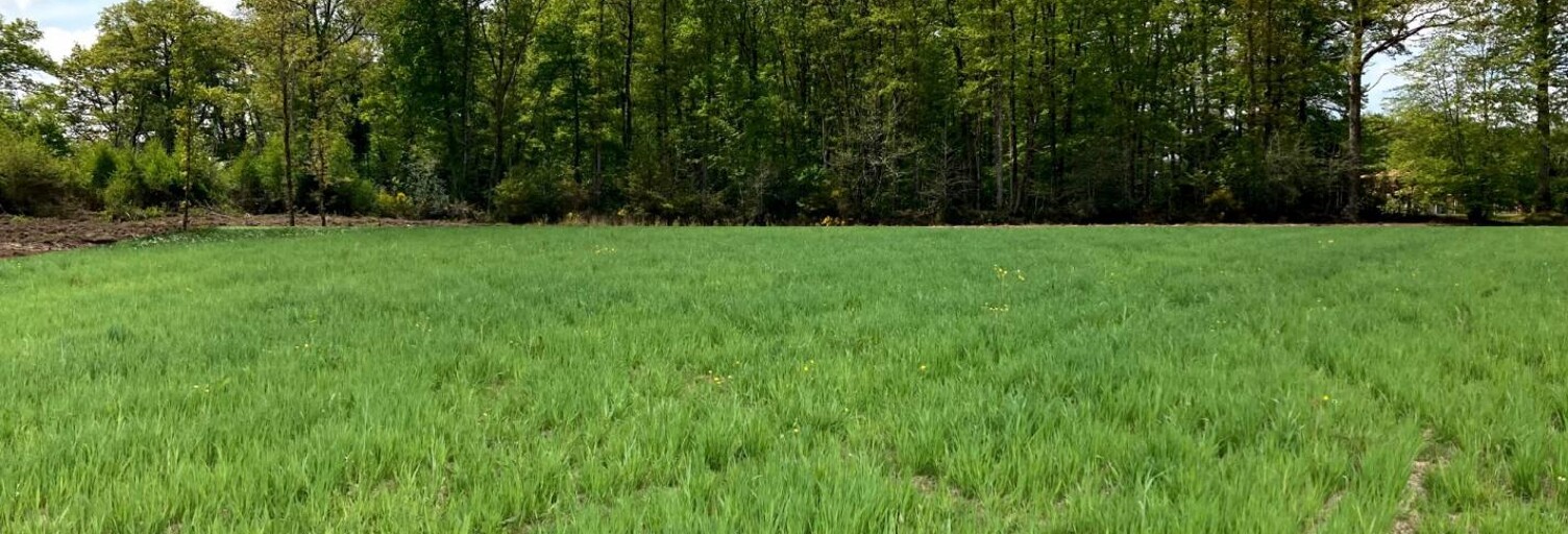 Terrain  400 m² à vendre à Wandignies-Hamage (59870)