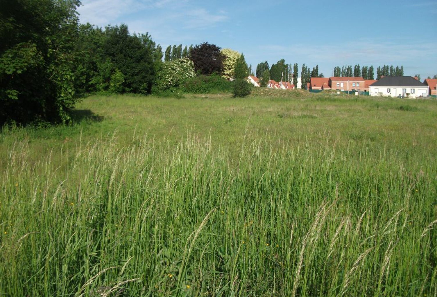Terrain à bâtir de 524 m² à Marly (59770) - Prix total 81 000... — photo 1