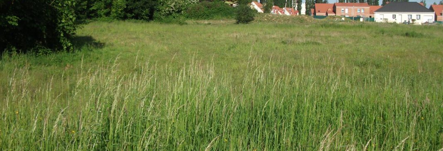 Terrain  524 m² à vendre à Marly (59770)